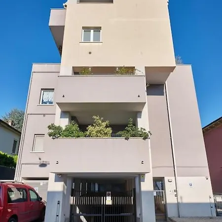 Leone Verona